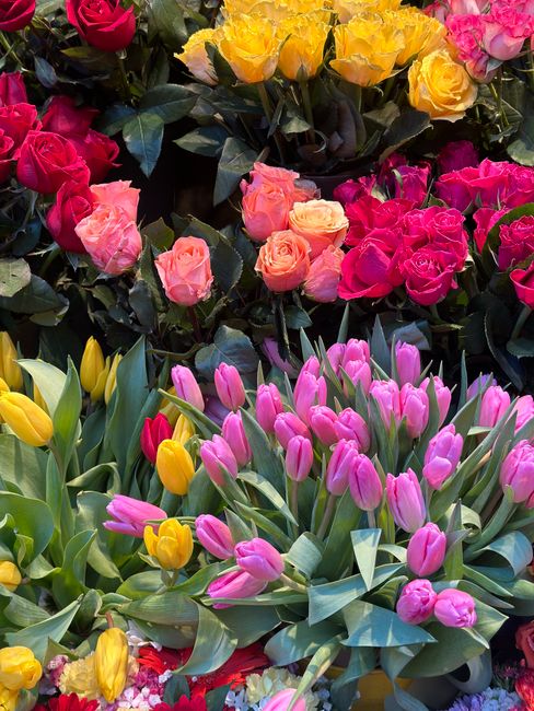 A vibrant display of fresh floral arrangements featuring pink and yellow tulips with closed buds and elongated green leaves, alongside pink and yellow roses with delicate petals and dark green foliage
